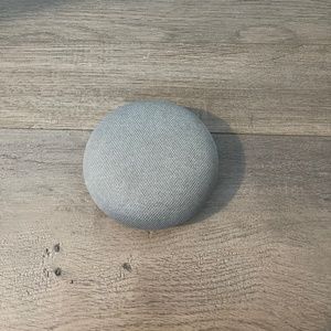 Google Home/Nest Mini